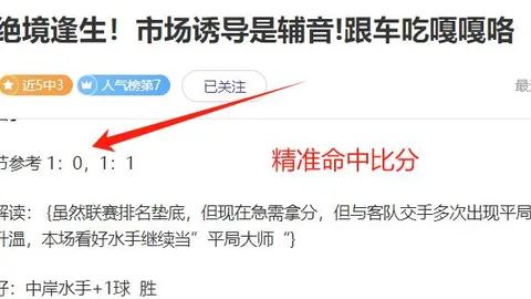 杜锋展望：伯克库克并肩作战，新赛季阵容悬念揭晓